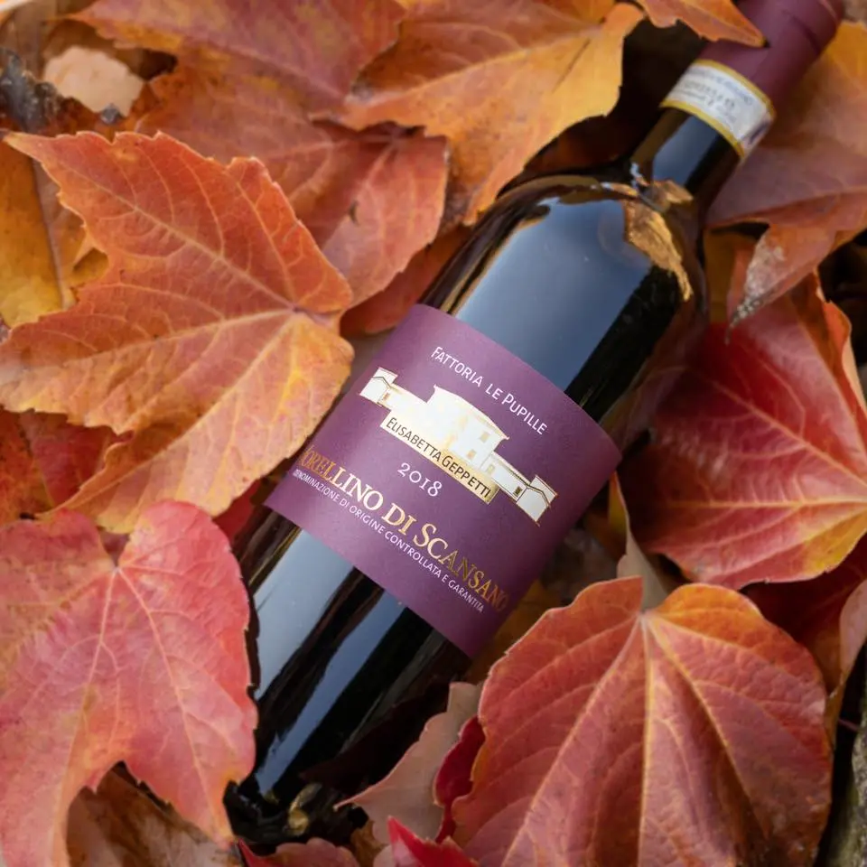 2019 Fattoria Le Pupille Morellino Di Scansano DOCG - Image 2