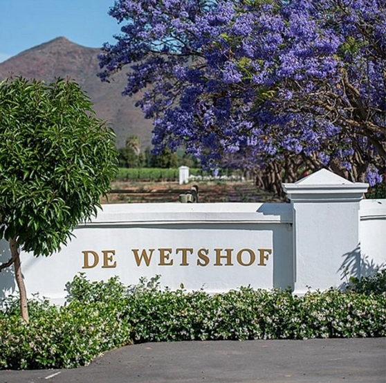 2018 De Wetshof Lesca South Africa - Image 2