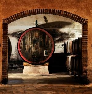 2016 Felsina Fontalloro IGT Toscana 3L D-Magnum - Image 4