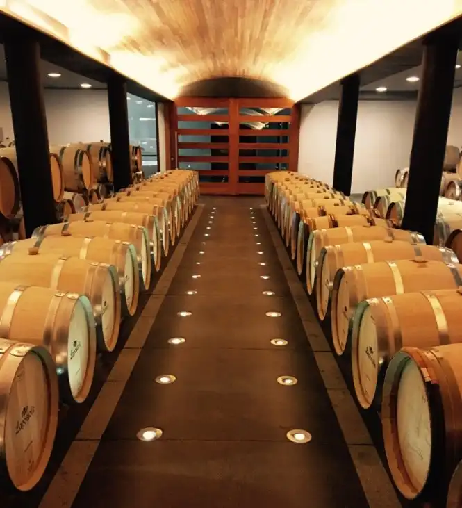 2015 Lapostolle Cuvée Alexandre Carmenére - Imagen 2