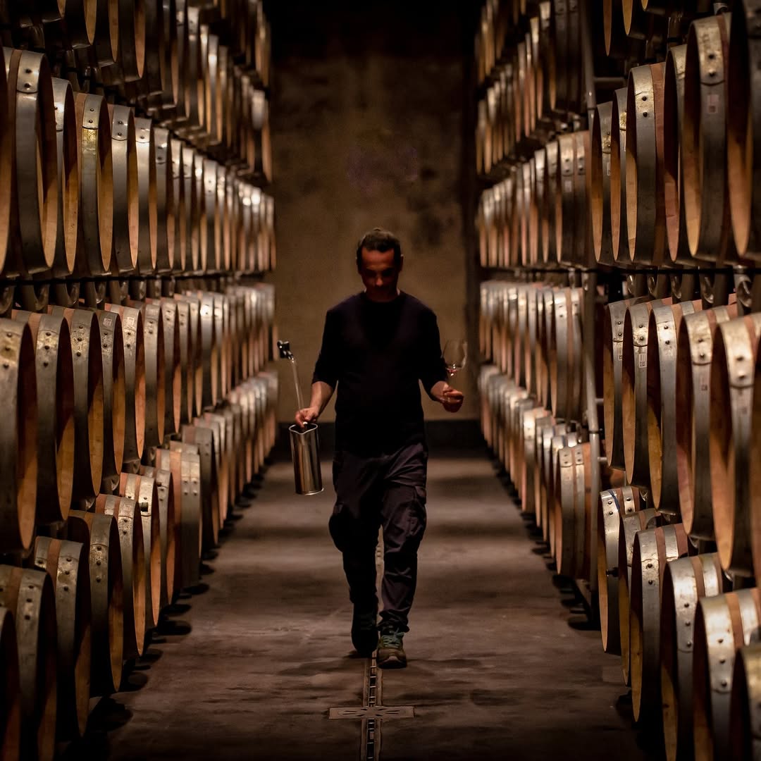 2018 Tenuta San Guido Le Difese - Imagen 2