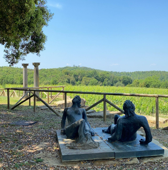 2018 Castello Romitorio Rosso di Montalcino DOC - Imagen 3
