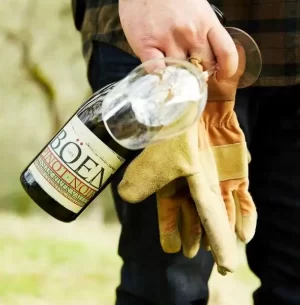 2016 Böen Pinot Noir Russian River Sonoma Cost - Image 2