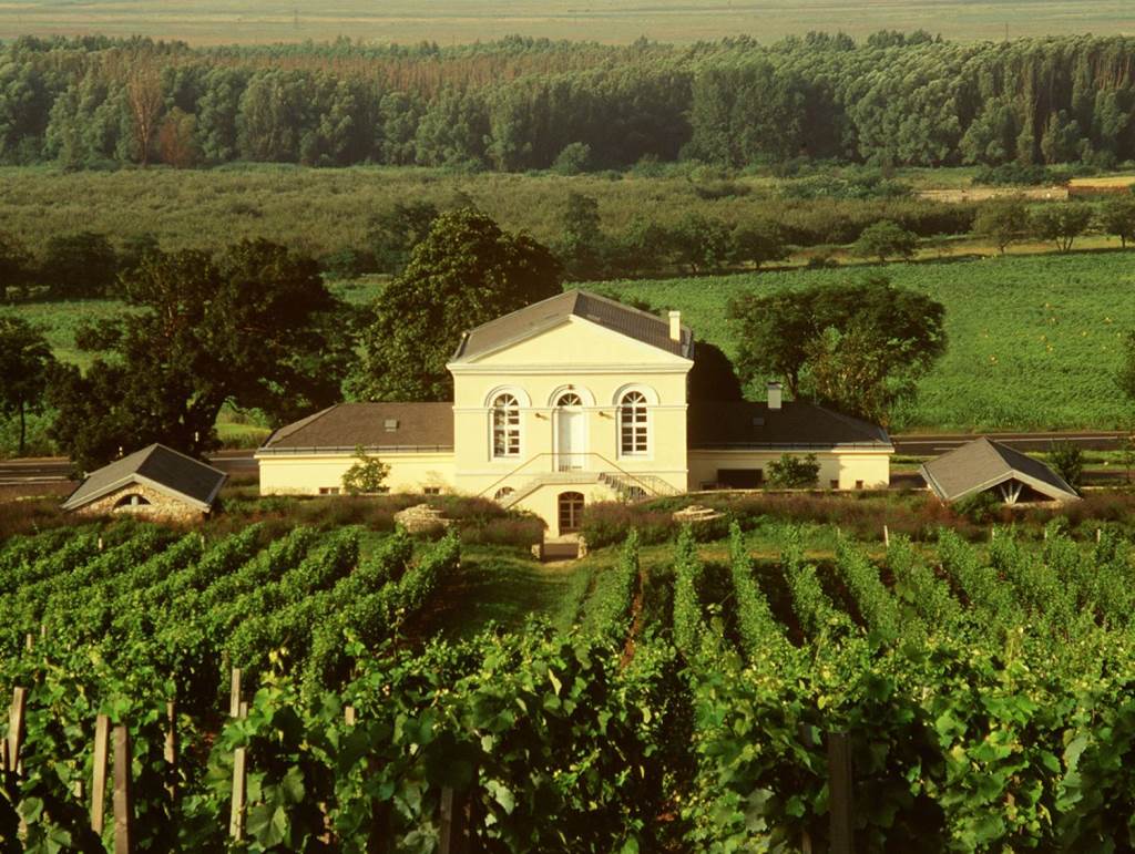 2018 Diznoko Tokaji Szamorodni Szaraz - Imagen 2