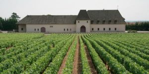 2019 Marsannay Les Longeroies - Imagen 3