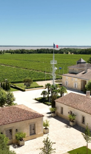 2015 Chateau Montrose - Imagen 3