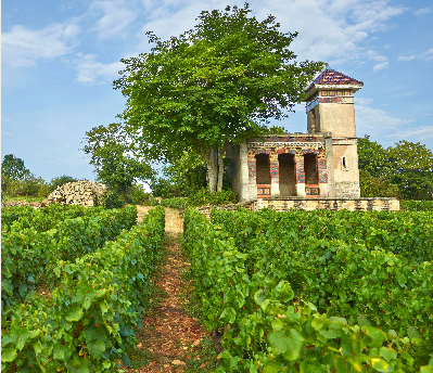 2020 Domaine Jean-Marc Roulot Monthelie - Imagen 2