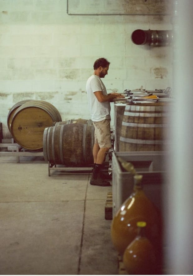 2021 Gut Oggau Maskerade Weis - Imagen 2