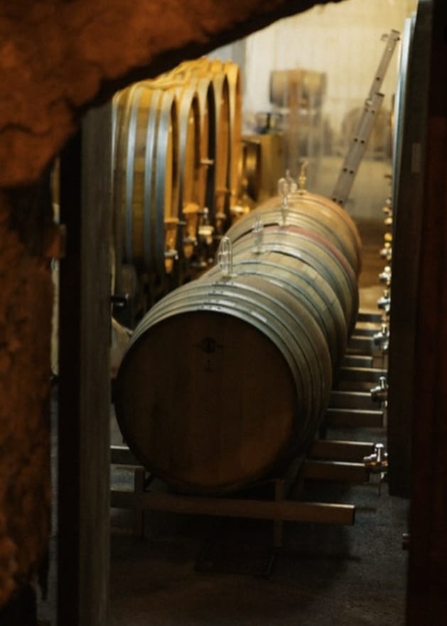 2021 Gut Oggau Maskerade Weis - Imagen 3