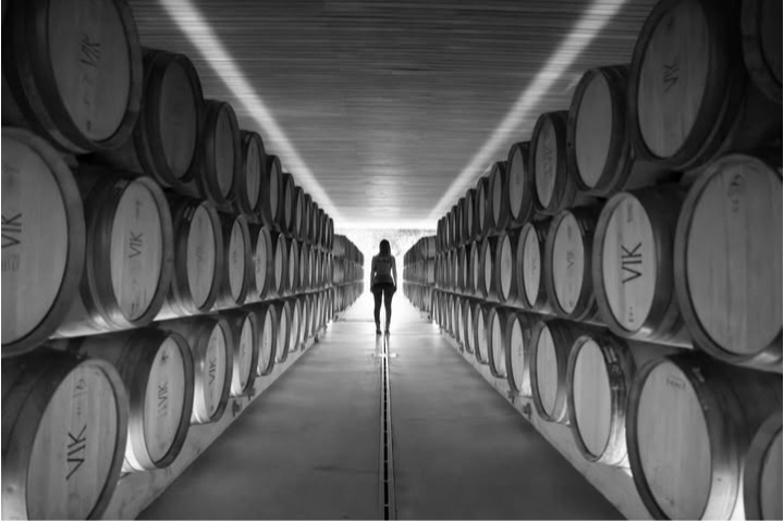 2016 VIK - Millahue Milla Cala - Imagen 3