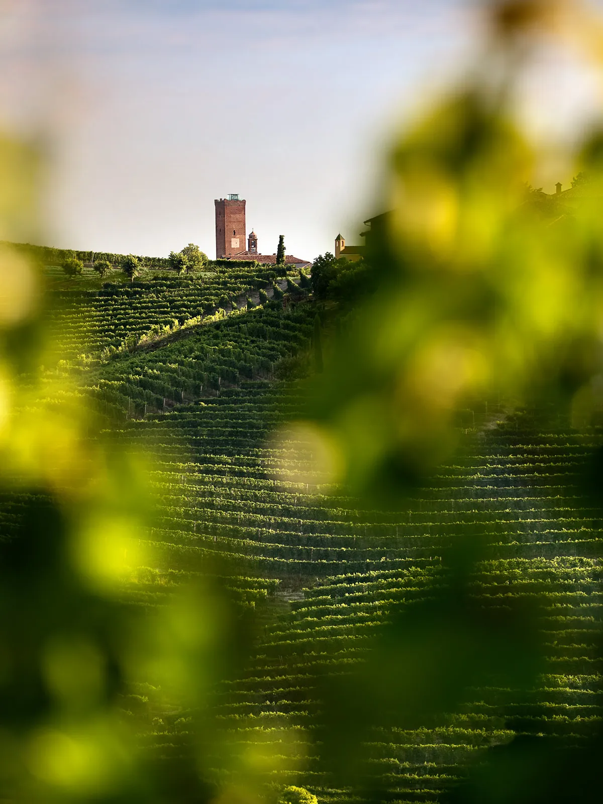 2020 Produttori del Barbaresco Langhe Nebbiolo - Image 3