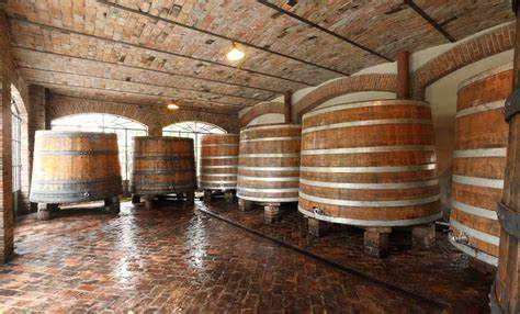 2023 Comm. G. B. Burlotto Verduno Pelaverga - Image 2