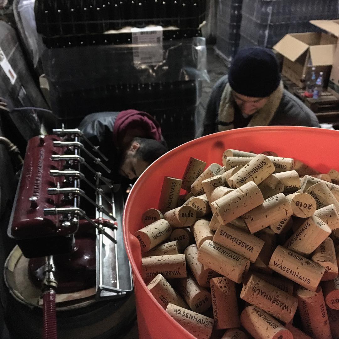 2022 Wasenhaus Spatburgunder - Imagen 3