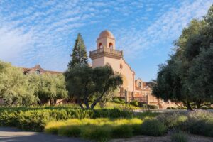 2016 Groth Cabernet Sauvignon - Imagen 3