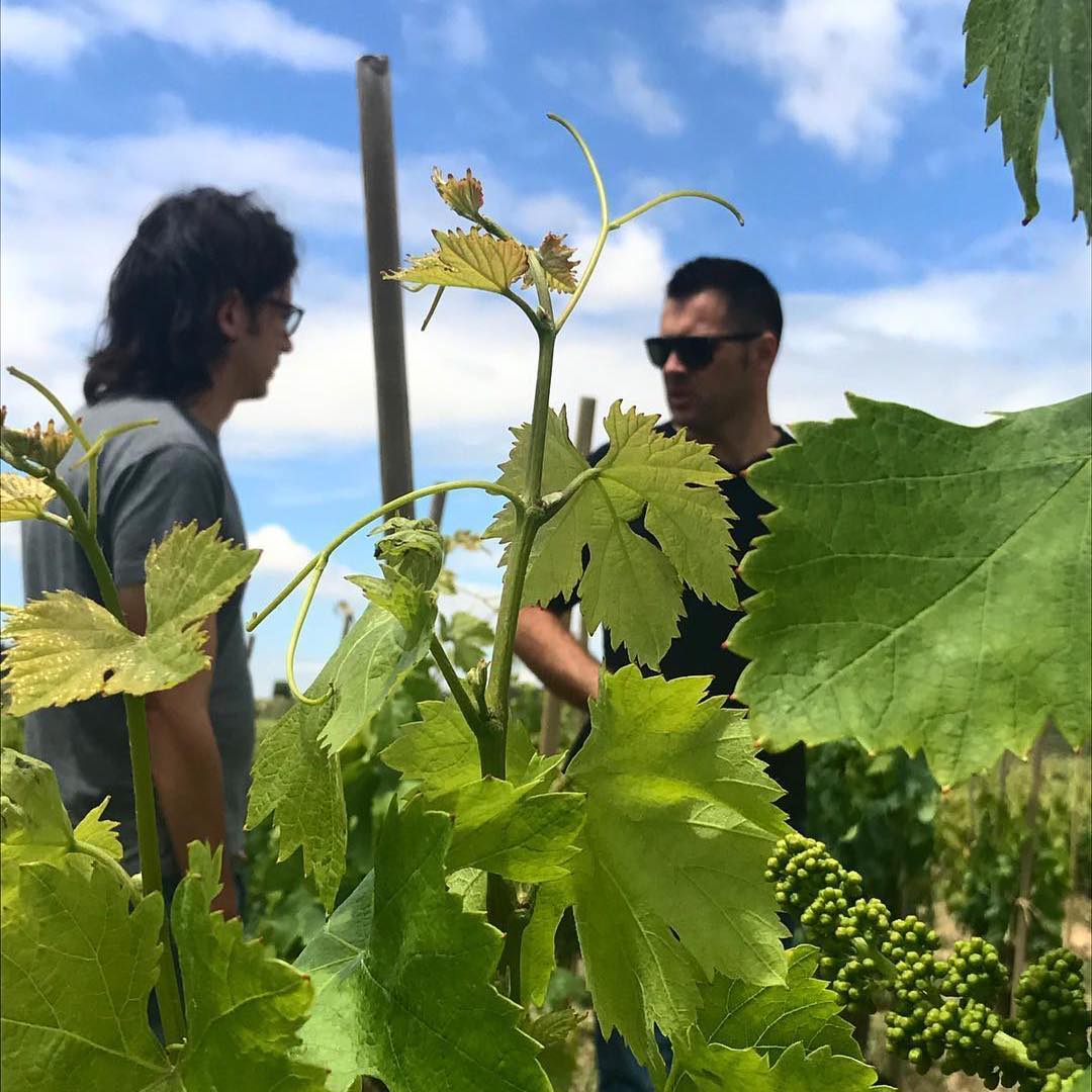 2018 Olivier Riviere La Bastid - Imagen 3