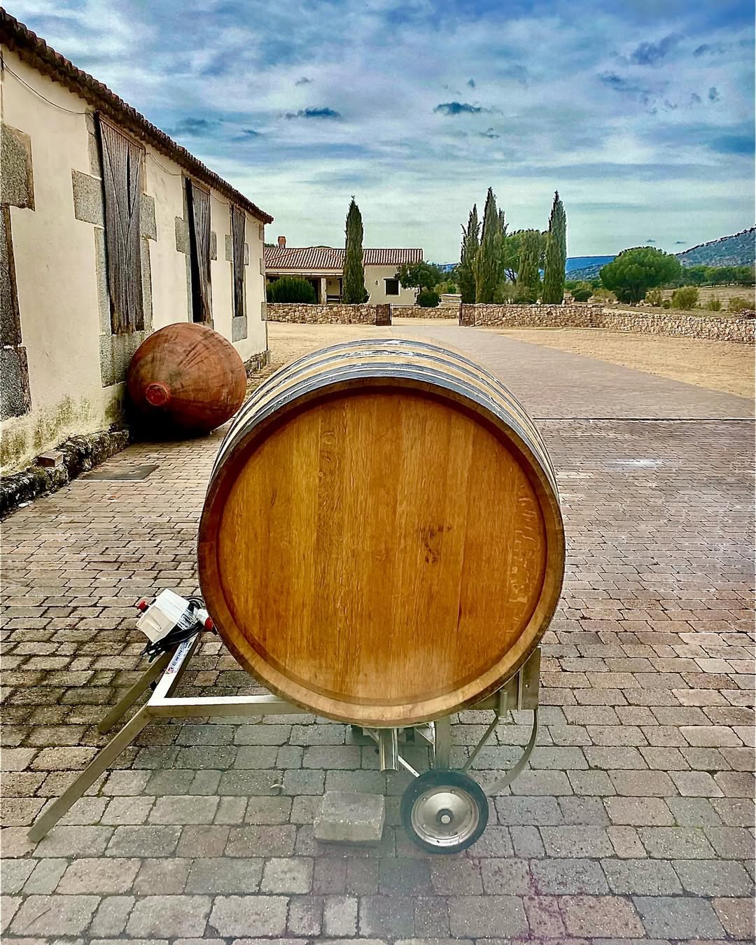 2019 Pegaso (Telmo Rodriguez) Zeta - Imagen 2