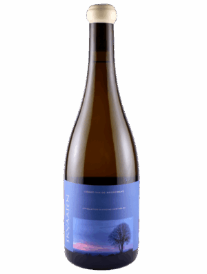 2022 Maison Skyaasen Bourgogne Aligote