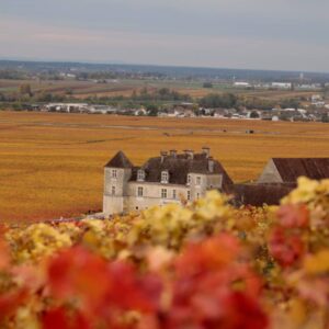 2021 Domaine George Roumier Borgogne Rouge - Image 2