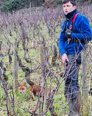 2022 Domaine George Roumier Chambolle-Musigny - Image 2