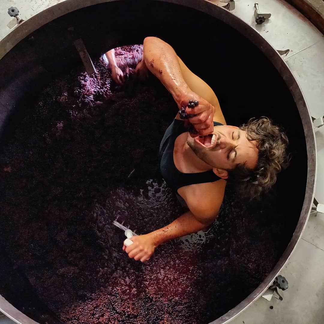 2023 Agne & Rene Mosse Cabernet Franc - Image 3