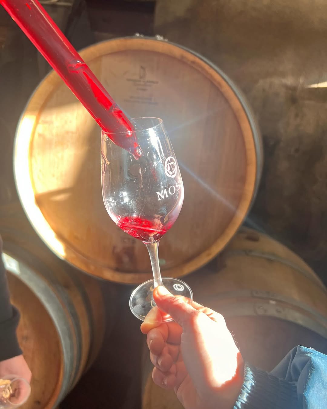 2023 Agne & Rene Mosse Cabernet Franc - Image 2