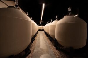 2016 Arnaux Lachaux Bourgogne Pinot Fin - Imagen 3