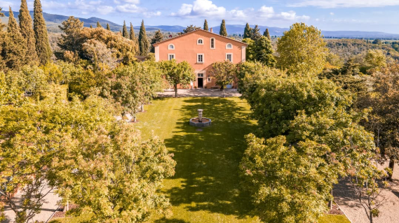 2019 Tenuta di Biserno Insoglio del Cinghiale - Image 2