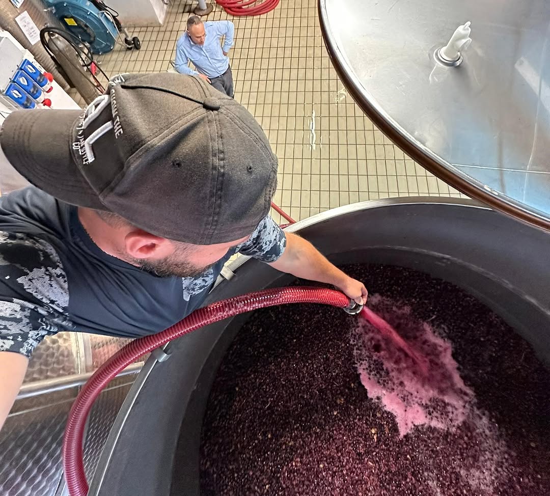 2018 Passopisciaro Vini Franchetti Passobianco - Image 2