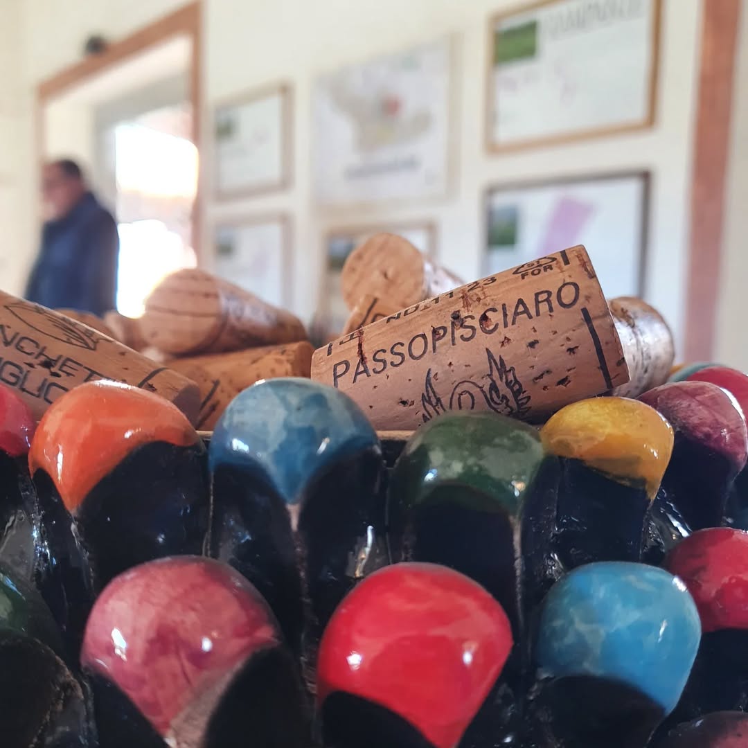 2018 Passopisciaro Vini Franchetti Passobianco - Image 3