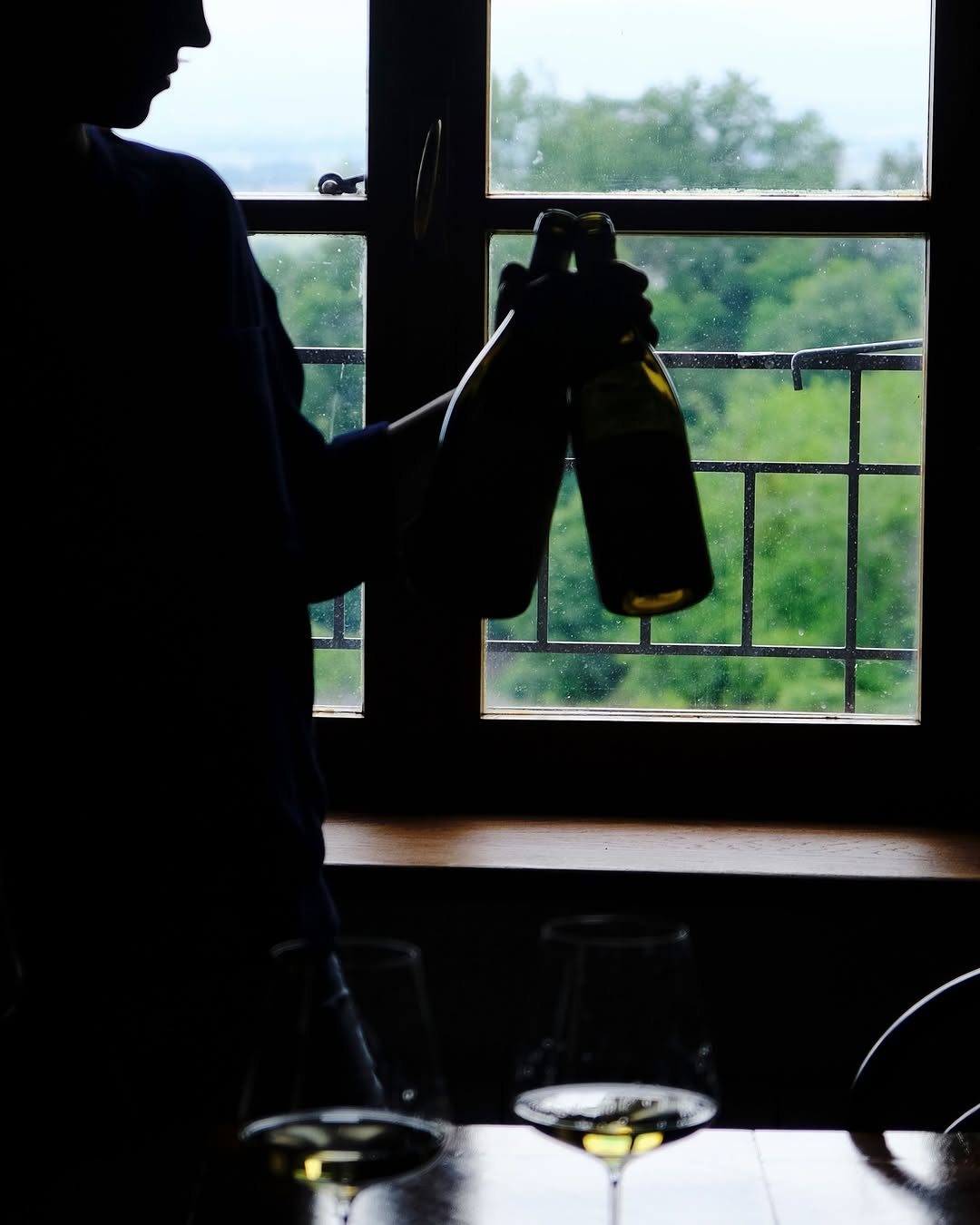 2017 Livio Felluga Pinot Grigio - Image 3