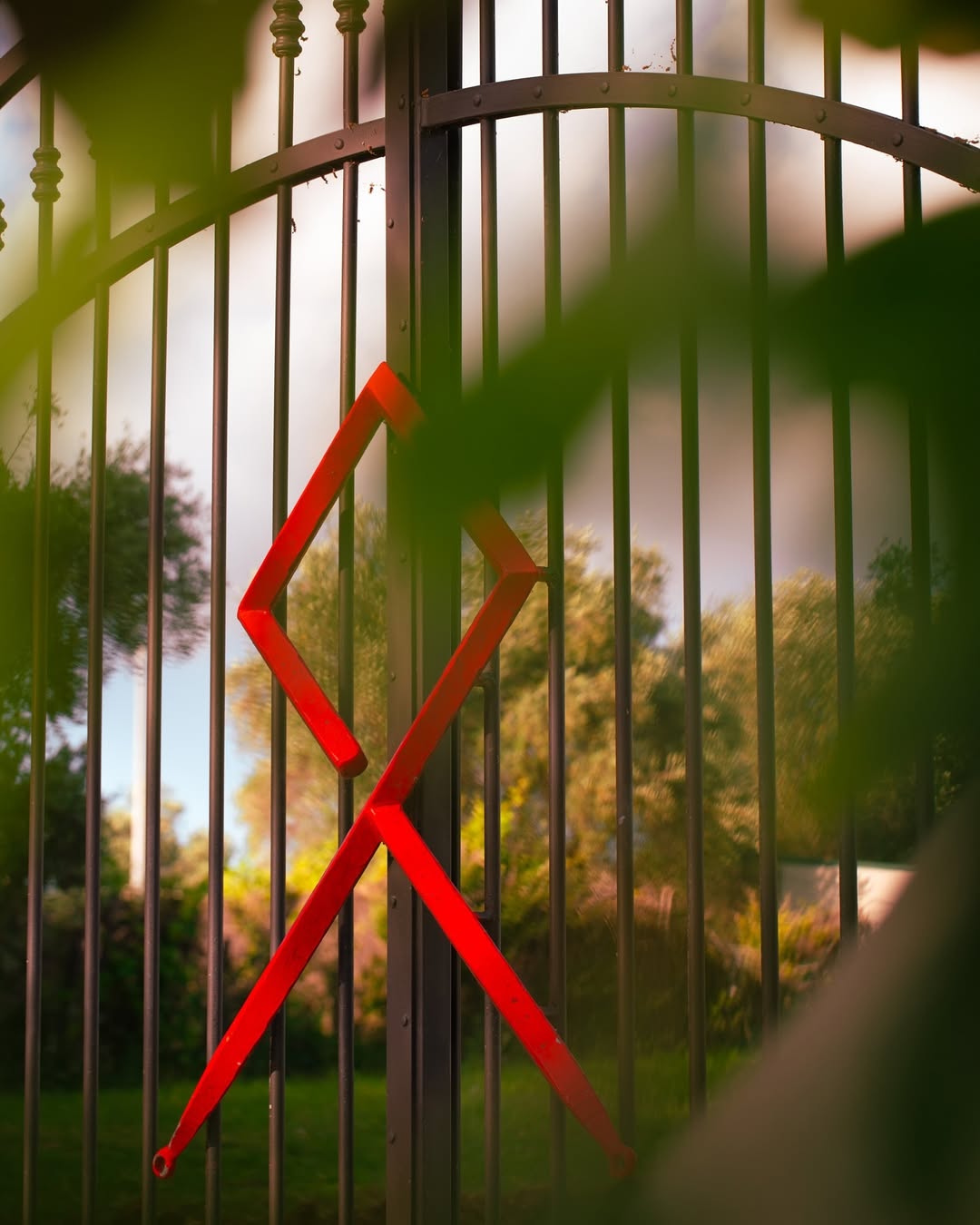 2022 Orma Bolgheri - OWC - Image 3