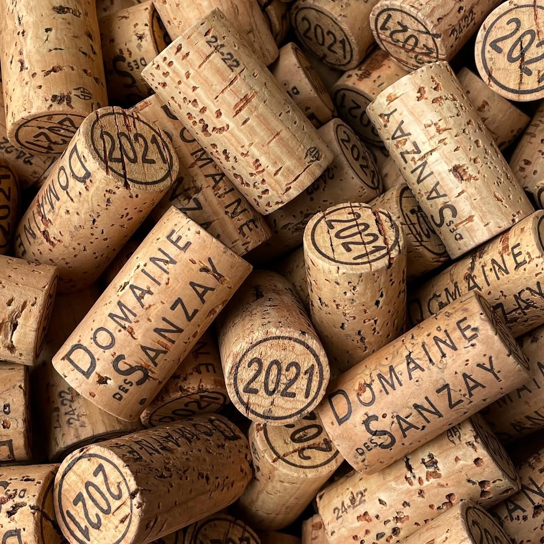 2021 Domaine des Sanzay Saumur Champigny Les Poyeux - Image 3