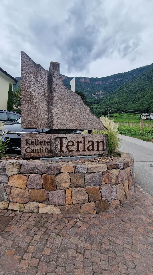 2019 Terlan Terlaner - Image 2